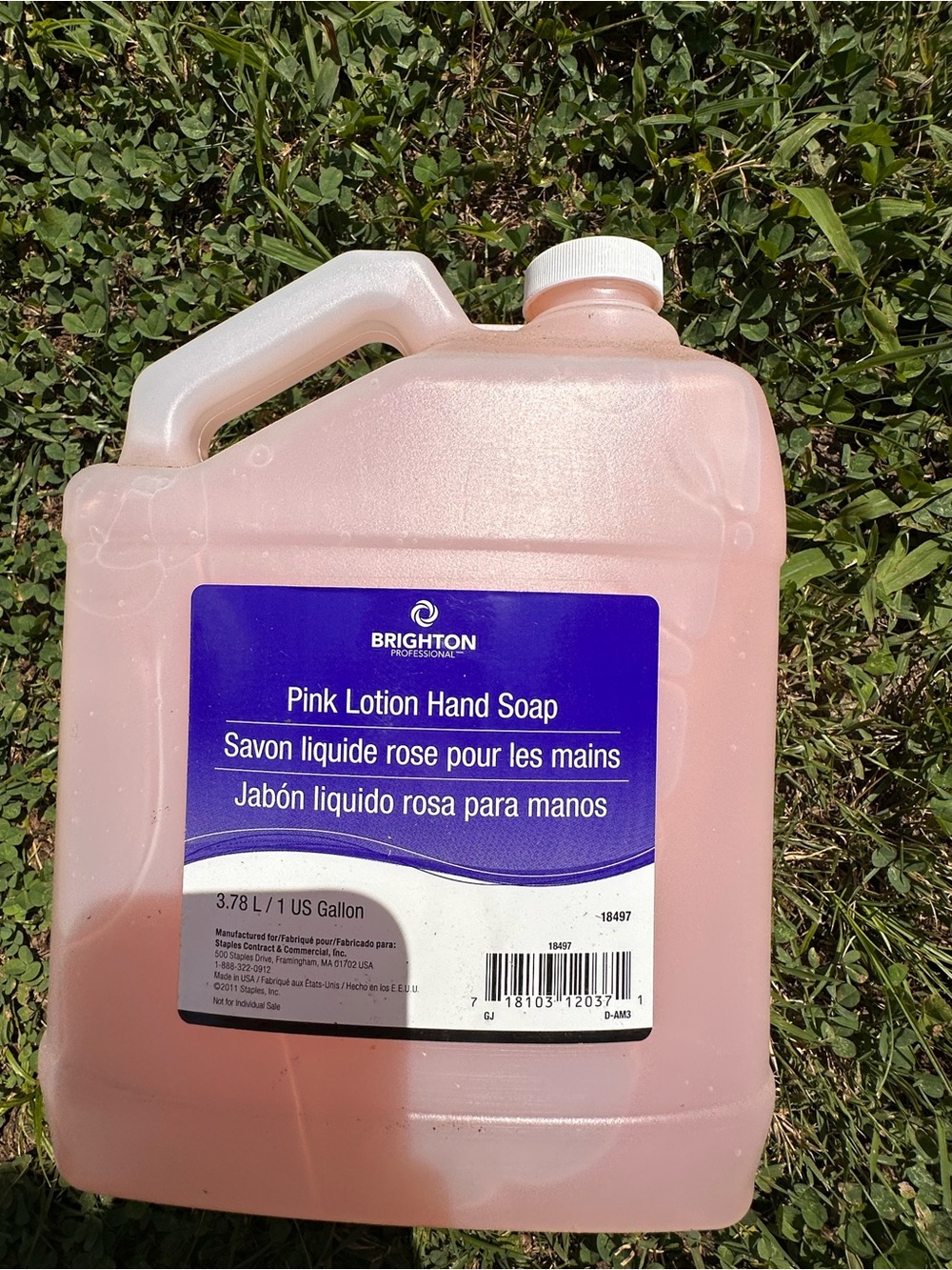 Brighton Pink Lotion Hand Soap - Pale Pink Jug